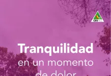 CESPAZ online || Beneficios para quienes se adhieren al servicio