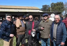 8º remate anual de cabaña «la esencia» en la sociedad Rural de Saladillo