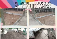 Recambio de tierra en los caniles del Albergue canino municipal