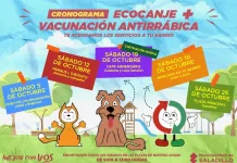 Cronograma de Octubre | eco-canje + vacunación antirrábica