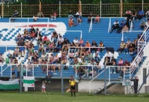 Cronograma de divisiones inferiores