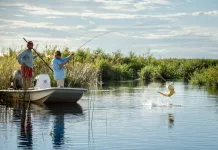 Pesca: Concurso a la Carpa de Mayor Peso en Toledo