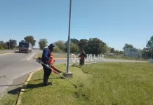 Trabajos de mantenimiento en la zona de el cristo