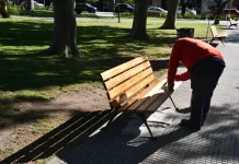 Trabajos de pintura de bancos y mantenimiento general en la Plaza Principal de nuestra ciudad