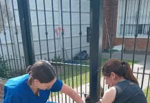 Se detectaron 2 murciélagos positivo al virus de la rabia