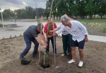 Malvinas|| En la visita de Mario Massaccesi a Saladillo plantaron árboles en homenaje a los caídos