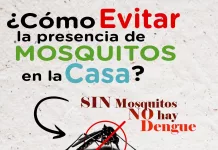 Sin mosquitos NO hay dengue