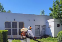 Dengue caso sospechoso|| Se fumigaron un total de 23 domicilios