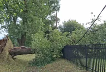Saladillo daños trás el temporal de lluvia, granizo y ráfagas de viento