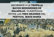 ¡UN HONOR PARA SALADILLO! RECIBIMOS A LA TROPILLA PREMIADA EN JESÚS MARÍA