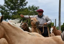 Parque República de Brasil || se realizó el recibimiento de la Tropilla de Bayos Redomones propiedad de Raúl Lalo Saizar y atendida por Mateo Izquierdo