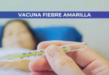 Fiebre Amarilla: información clave para viajeros