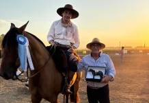 Caballos Criollos: Buen desempeño de Tomas Polis en Ayacucho