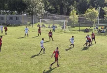 Fútbol: Argentino, Apeadero y Cazón arrancaron goleando en el Torneo de Primera División