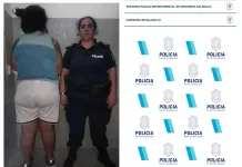 Una mujer provocó daños en la Comisaría de la Mujer