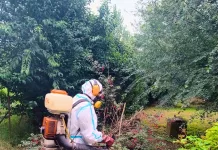 Acciones Preventivas ante Caso Sospechoso de Dengue