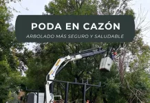 Cazón sigue creciendo con un arbolado más seguro y saludable