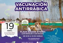Calendario de Vacunación antirrábica