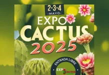 /// Internet para todos // CESTEL en la Expo Cáctus de Cazón
