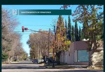 Personal del área eléctrica municipal está llevando a cabo tareas de mantenimiento de semáforos