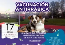 Vacunación Antirrábica || Sábado 17 de Mayo