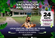 Campaña en Toledo | Vacunación antirrábica, día y horario