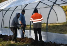 Se reconstruye uno de los invernáculos del vivero Municipal Eduardo L. Holmberg De Cazón