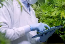 Se viene el primer Encuentro sobre Cannabis y Salud en La Plata