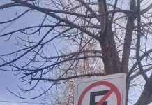 Cambio de estacionamiento en calle Estrada entre Mitre y Sarmiento