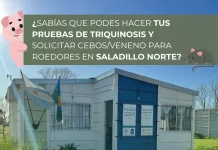 ¿Sabías que en Saladillo Norte y en todas las delegaciones municipales podes realizar gratuito de Triquinosis y Retirar cebos para la prevención del Hantavirus?