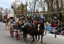 Galería de Fotos || Más de 150 fotos del desfile gaucho realizado por los 162º aniversario de Saladillo