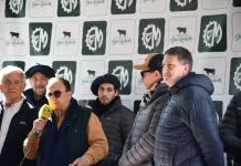 En las instalaciones de la Sociedad Rural de Saladillo, un importante remate de hacienda bovina de Cabaña Santa Rita de Antiguas Estancias “Don Roberto”