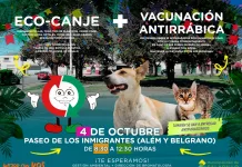 Sábado 4 de Octubre|| ECO-CANJE + VACUNACIÓN ANTIRRÁBICA