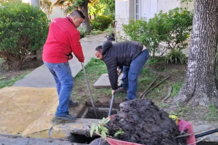 WhatsApp Image 2025-10-28 at 09.09.24 (1)