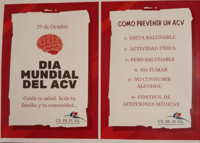 WhatsApp Image 2025-10-28 at 22.49.56