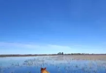 Exigen a la Nación la reactivación total de un tramo parcialmente reanudado de las obras del Salado