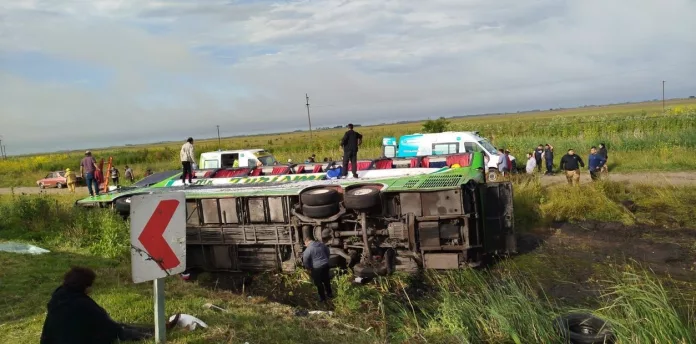 I_-d8UoLs_1256x620__1