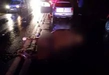 Ruta 205 || Caballos sueltos protagonizan un accidente