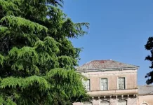 Personal municipal está realizando trabajos de demarcación y pintura en la zona del Pasaje de los Inmigrantes