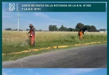 Municipalidad de Saladillo || Corte de pasto en la rotonda de la R.N. N°205 y la R.P. N°51