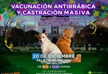 20 de diciembre ||| Vacunación antirrábica y castración masiva