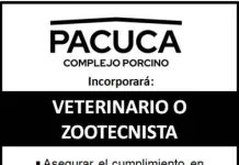 Búsqueda laboral Veterinario o zootecnista