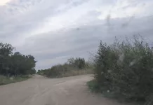 Vecinos de la zona de Altos del Sol preocupados por pastizales altos