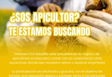 Estamos actualizando nuestro registro de apicultores voluntarios para colaborar en situaciones con enjambres