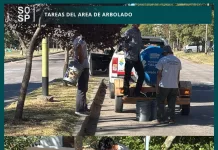 Municipales || El área de arbolado sigue realizando tareas