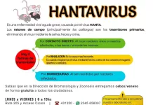 Saladillo intensificó la campaña de prevención contra el hantavirus