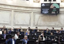 Sesión clave en el Senado: el Gobierno espera aprobar la reforma laboral y la baja de edad de imputabilidad