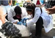 Grave: secuestran más de 60 kilos de cocaína en Capital y señalaron que el destino era Chivilcoy