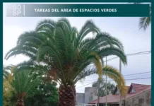 Por estos días personal del área de espacios verdes se encuentra realizando distintas tareas de mantenimiento