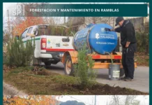Arbolado urbano estuvo realizando trabajos en la rambla ubicada en Av. Bozán en el Barrio «Falucho»